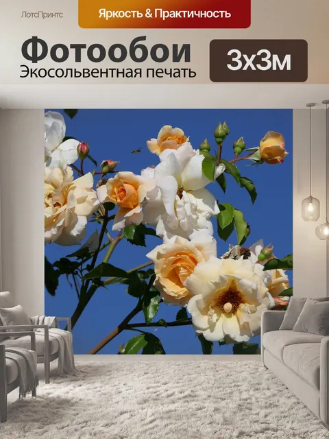 Фотообои Розы