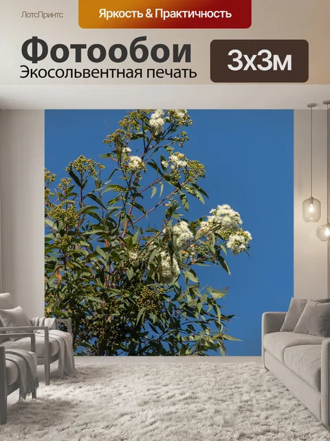 Фотообои Десен