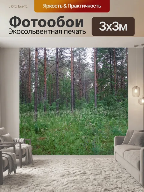 Фотообои Лес