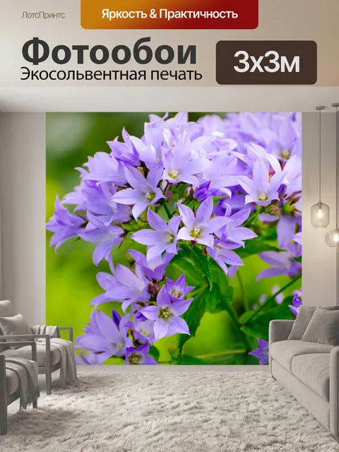 Фотообои Цветы