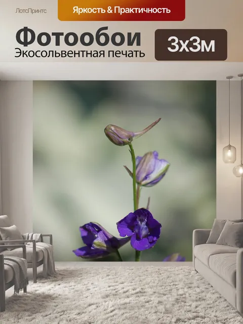 Фотообои Цветы