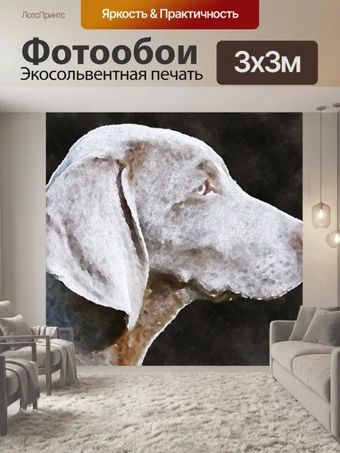 Фотообои Собака