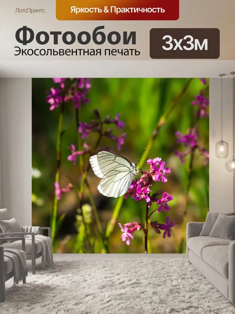 Фотообои Дерево белая бабочка