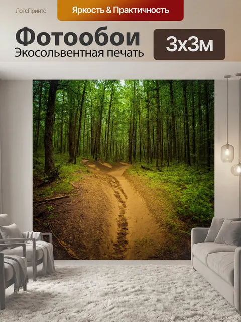 Фотообои лес с заброшенными зверинами тропами и следами