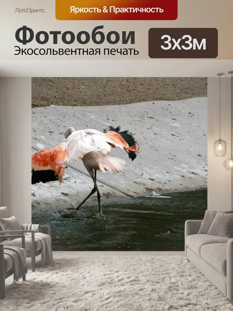 Фотообои Розовый Фламинго
