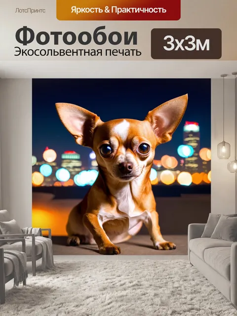 Фотообои чихуахуа, позирующий на фоне городских огней ночью, с блестящими глазами