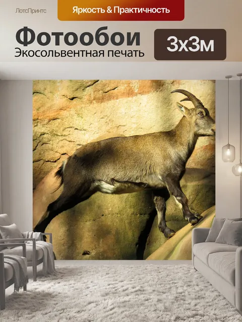Фотообои Животное