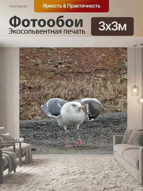 Фотообои Животное
