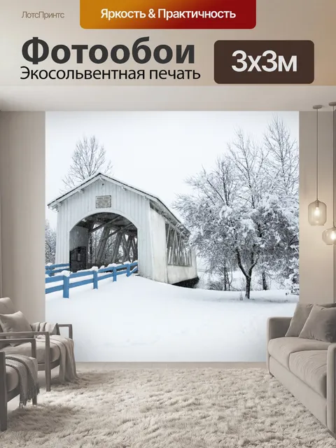 Фотообои Снежный мост
