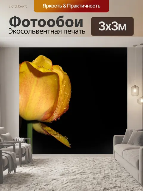 Фотообои Тюльпан