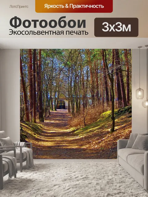 Фотообои Лес