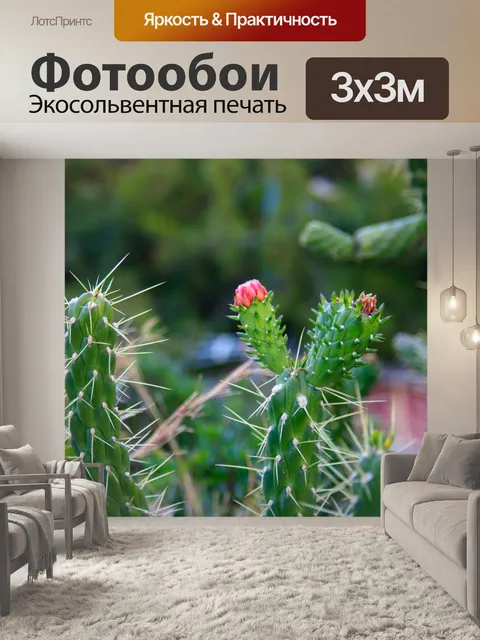 Фотообои Природа Крита