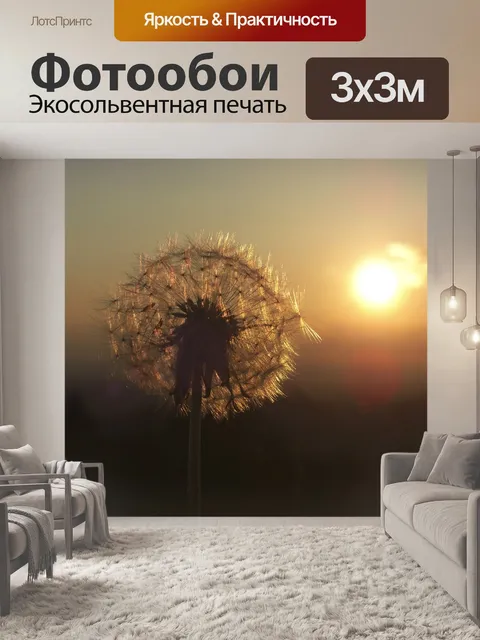 Фотообои Одуванчик