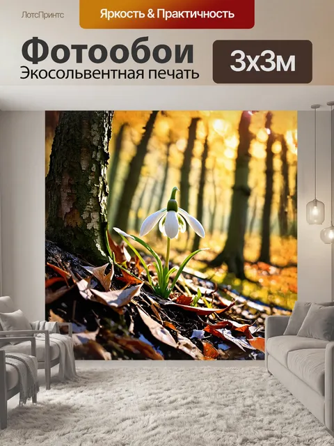 Фотообои подснежник, одиноко растущий на краю леса, открывает свои нежные лепестки среди увядших листьев и веток