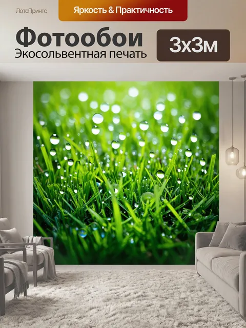 Фотообои наблюдение за блестящими каплями росы на траве