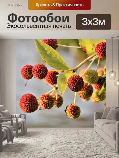Фотообои Кнопка крупным планом 2