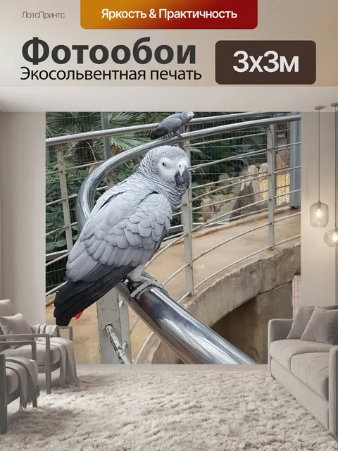 Фотообои Новые функции