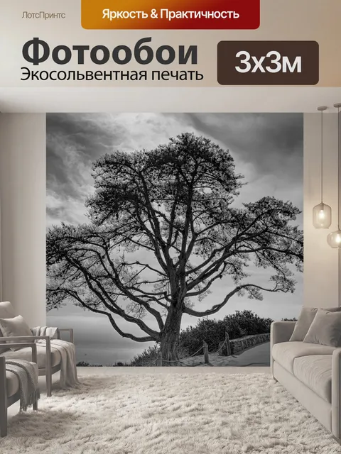 Фотообои Дерево