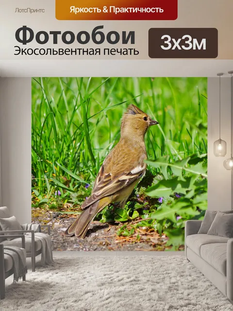 Фотообои Птица