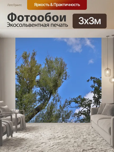 Фотообои Деревья