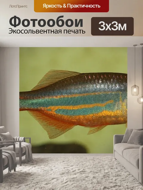 Фотообои Рыбы