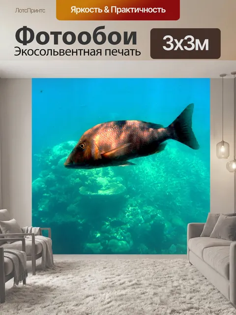 Фотообои Рыбы