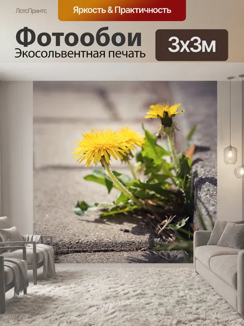 Фотообои Одуванчик