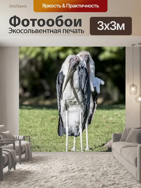 Фотообои Марабу аист