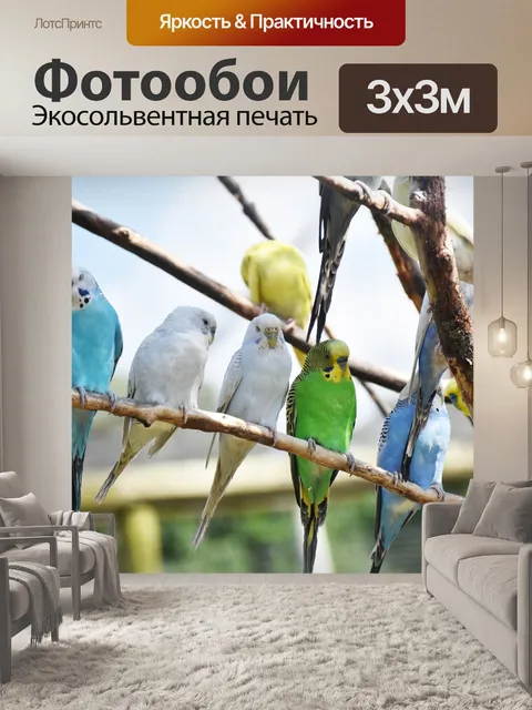 Фотообои Птицы