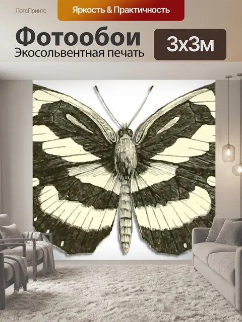 Фотообои Бабочка