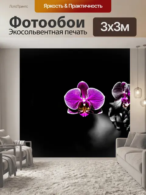 Фотообои фаленопсис с глубокими фиолетовыми цветами, снятый в мрачном и таинственном свете