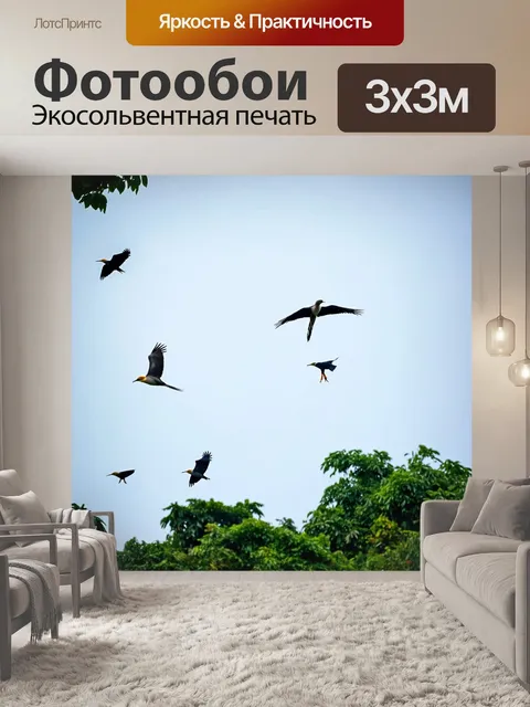 Фотообои птицы в полете, создающие зрелище в небе над джунглями