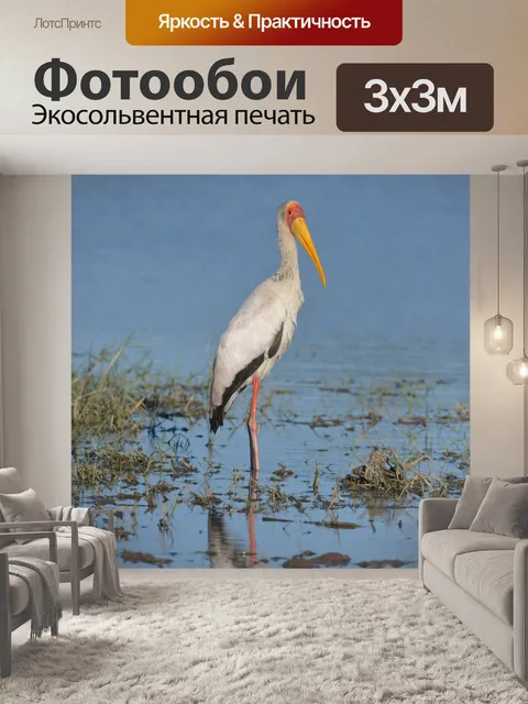 Фотообои Аист