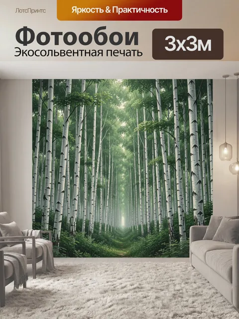 Фотообои Березовая роща в лесной дымке