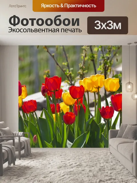 Фотообои Тюльпаны