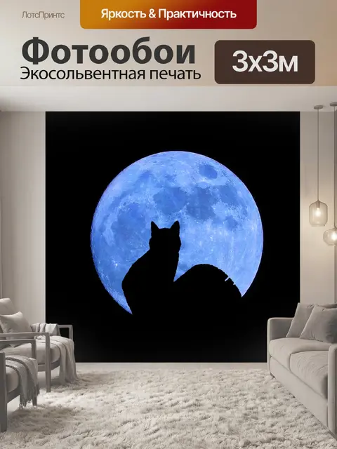 Фотообои Синий