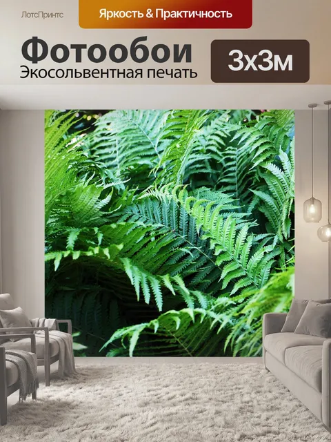 Фотообои Папоротник