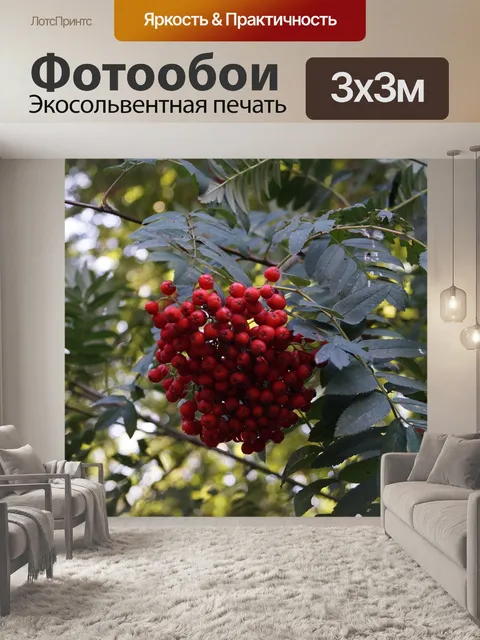 Фотообои Ягода