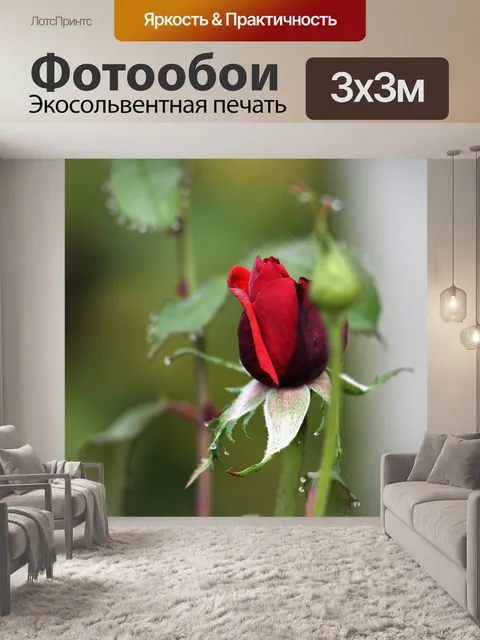 Фотообои Красный фиолетово-розовый бархат