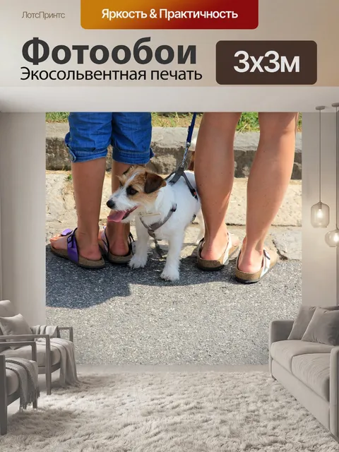 Фотообои Собака
