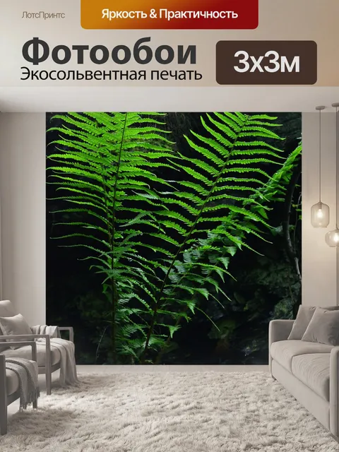 Фотообои Папоротник