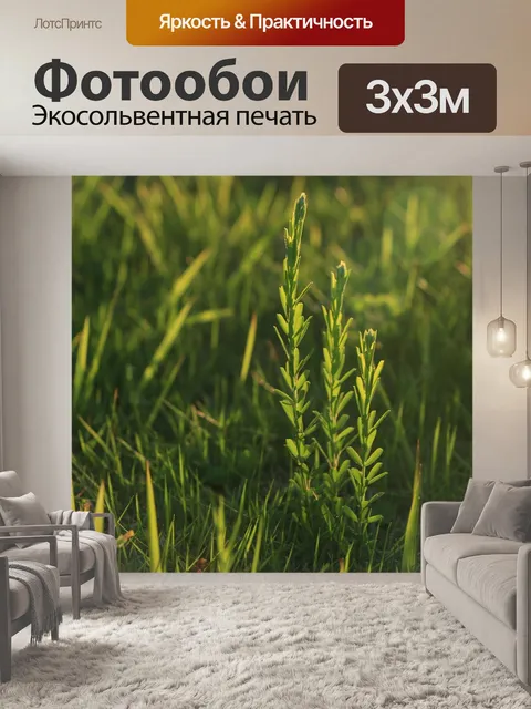 Фотообои Завод