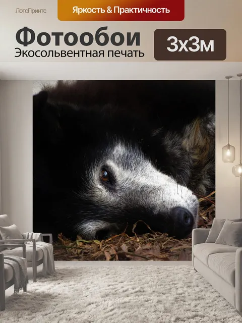 Фотообои Старый