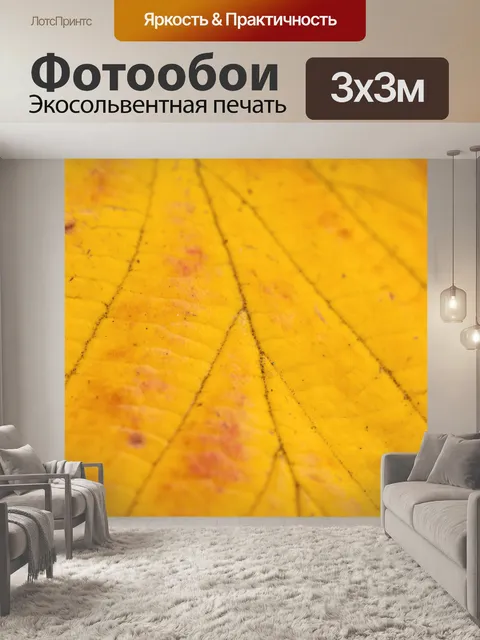 Фотообои Макрос желтый лист