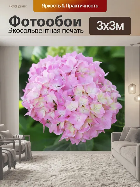 Фотообои Бледно розовый