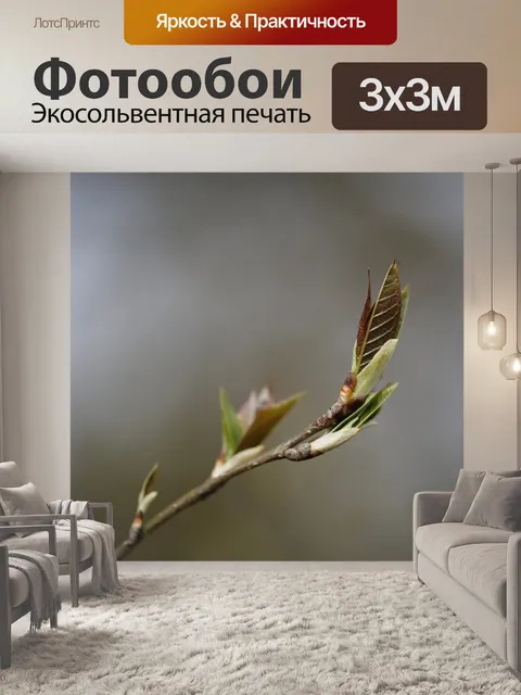 Фотообои Листья