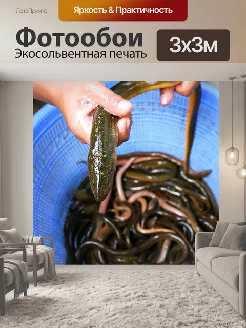 Фотообои Угорь
