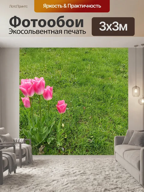Фотообои Тюльпаны