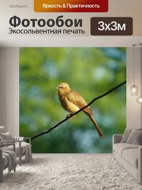 Фотообои Болтун из джунглей