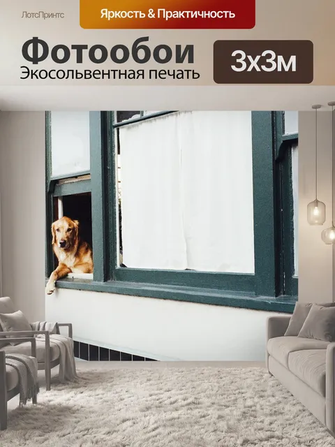 Фотообои Собака